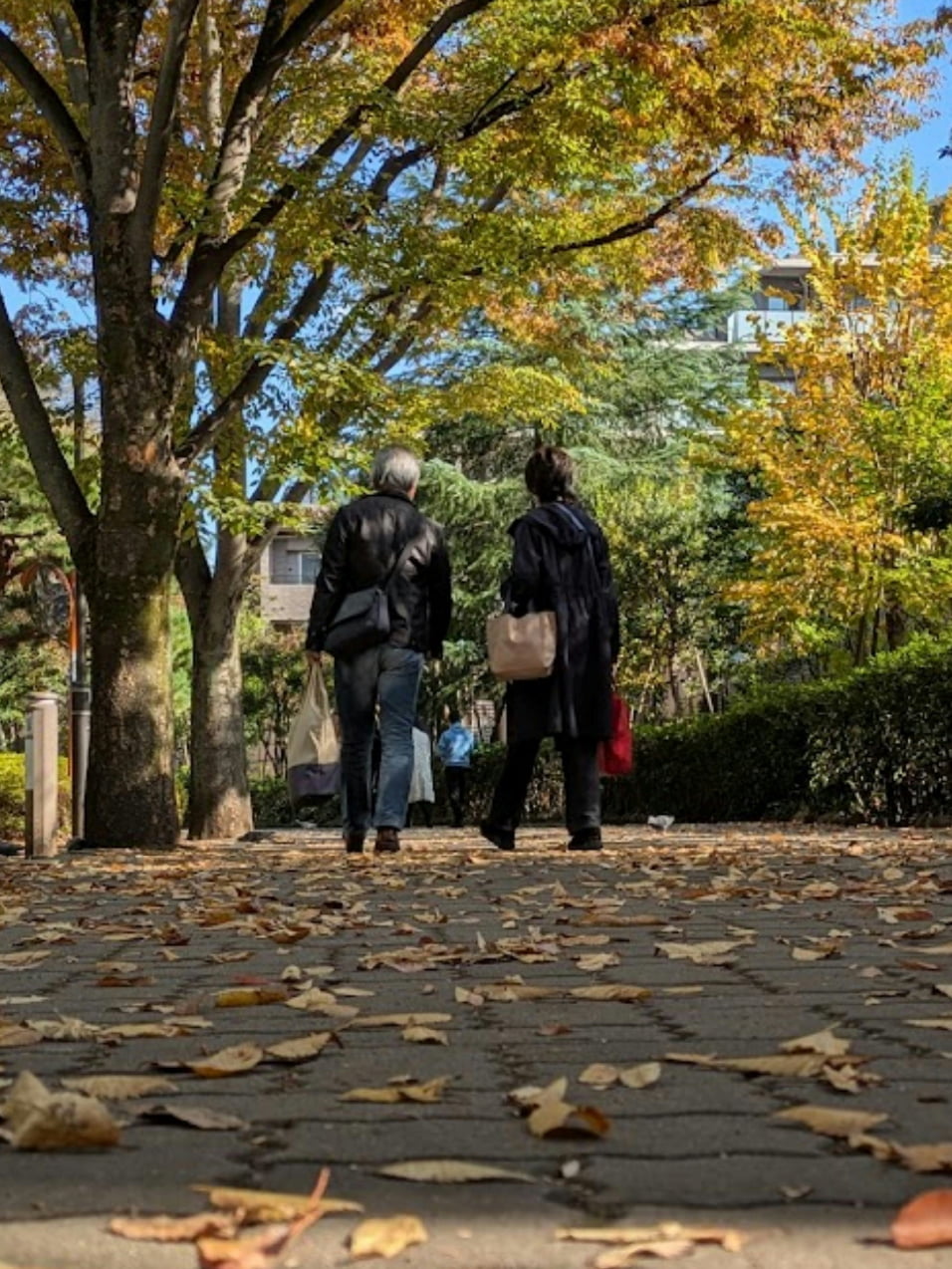 加古川の街で生活する高齢者夫婦の写真
